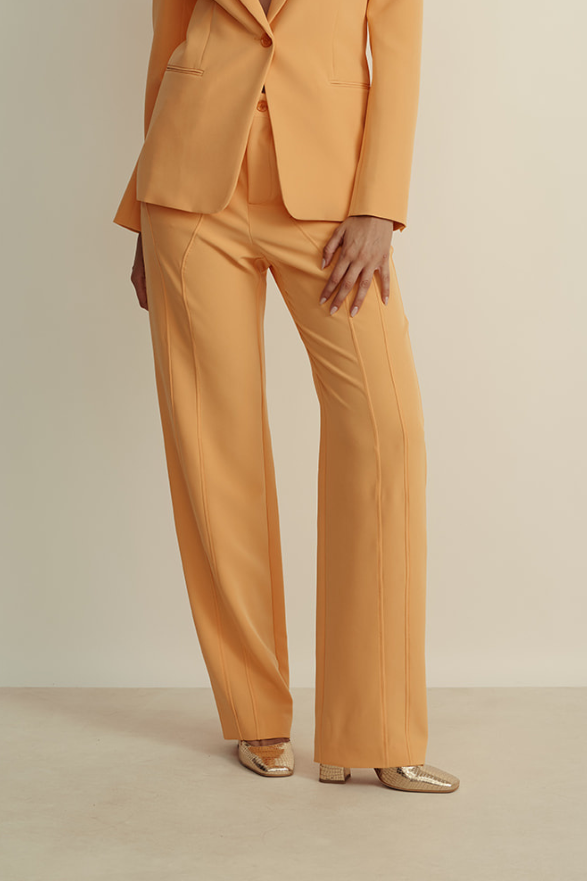 מכנסיים מחוייטים מקולקציית MOSCHINO Jeans עם תפירה מיוחדת בחלק הקידמיהרכב: 88% פוליאסטר, 12% אלסטןהדוגמנית בגובה 1.80 ולובשת מידה 44 איטלקית