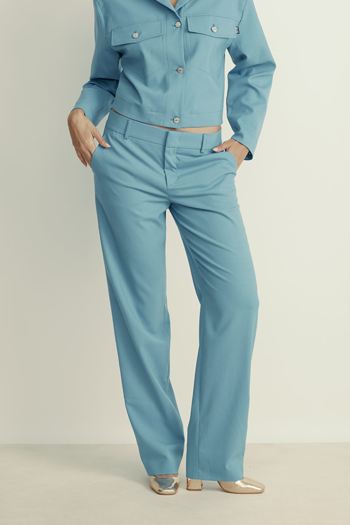 מכנסיים מחוייטים מקולקציית MOSCHINO Jeansהרכב: 54% פוליאמיד, 44% צמר, 2% אלסטןהדוגמנית בגובה 1.80 ולובשת מידה 42 איטלקית